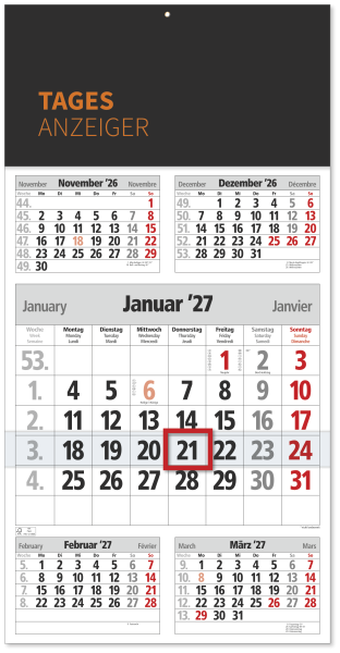 5 Monatsplaner/5 Monatskalender Tagesanzeiger orange