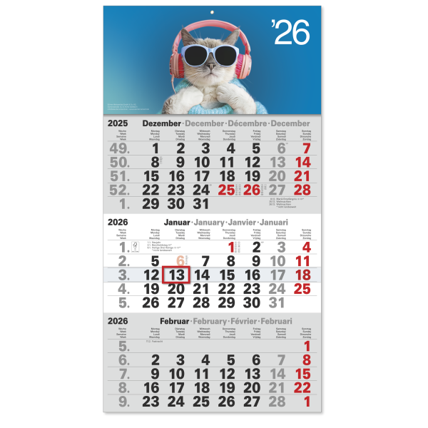 3 Monatskalender "Cool-Cat"